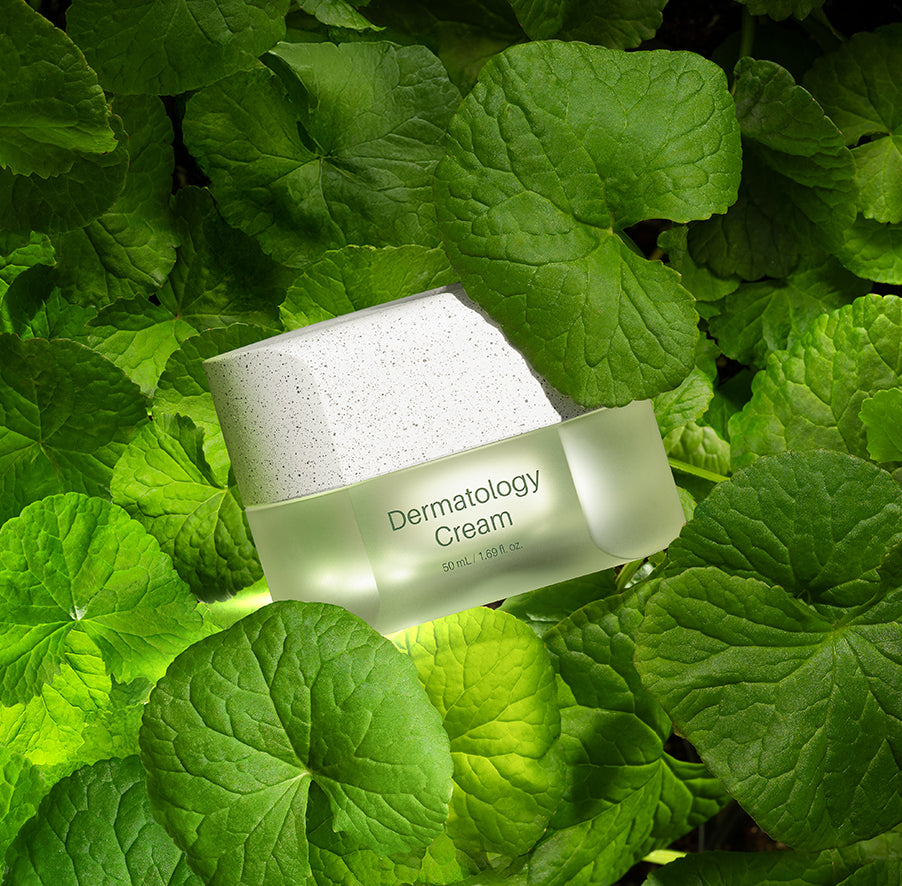 Incellderm ICD Dermatology Cream – Anti-Aging K-Beauty Face Cream
