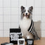 STUCK SOAP Luxe Gift Duo
