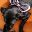 Stuck Soap Signature Scarf - Vintage Pink
