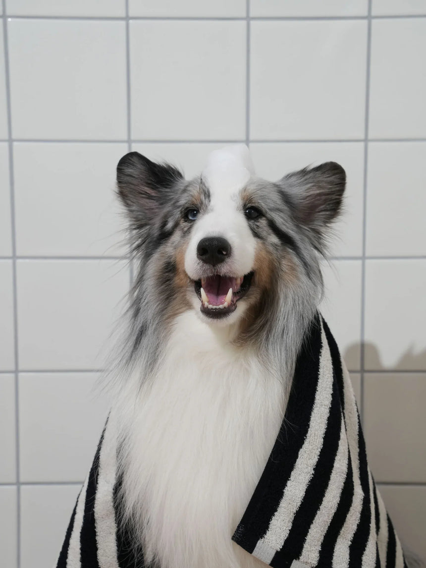 STUCK SOAP Silent Grove Dog Shampoo Refill - 1000 ml