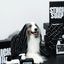 STUCK SOAP Luxe Gift Duo