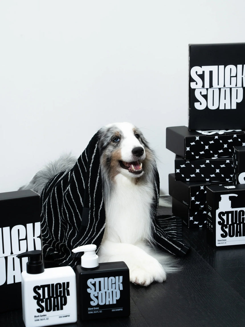 STUCK SOAP Luxe Gift Duo