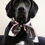Stuck Soap Signature Scarf - Vintage Pink